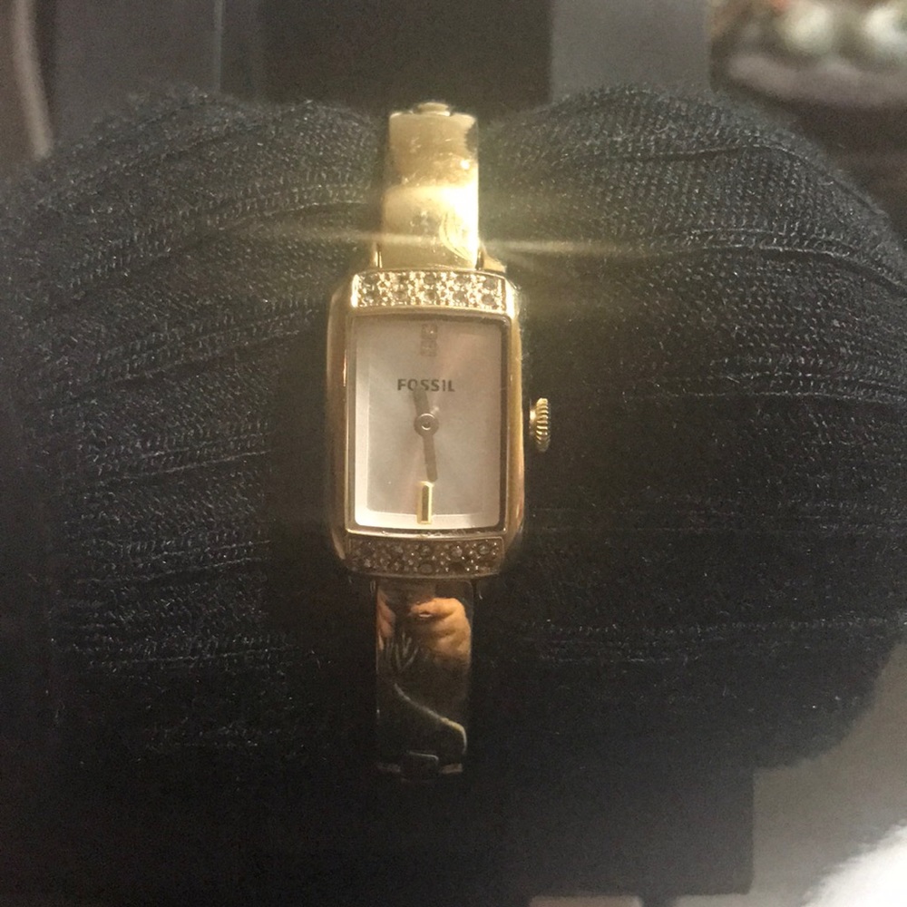 FÓSIL WATCH